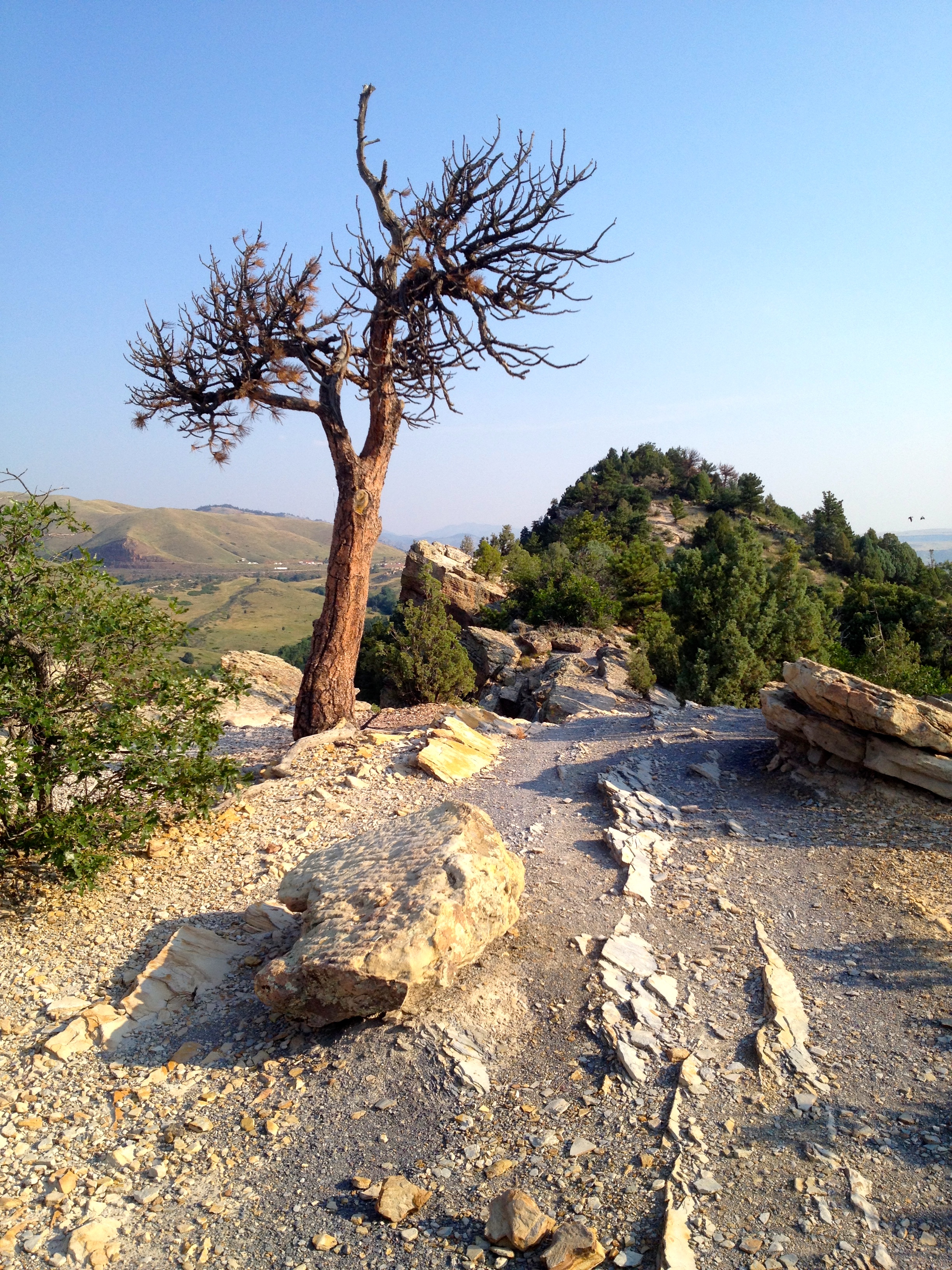 Views along the Dakota Ridge Trail