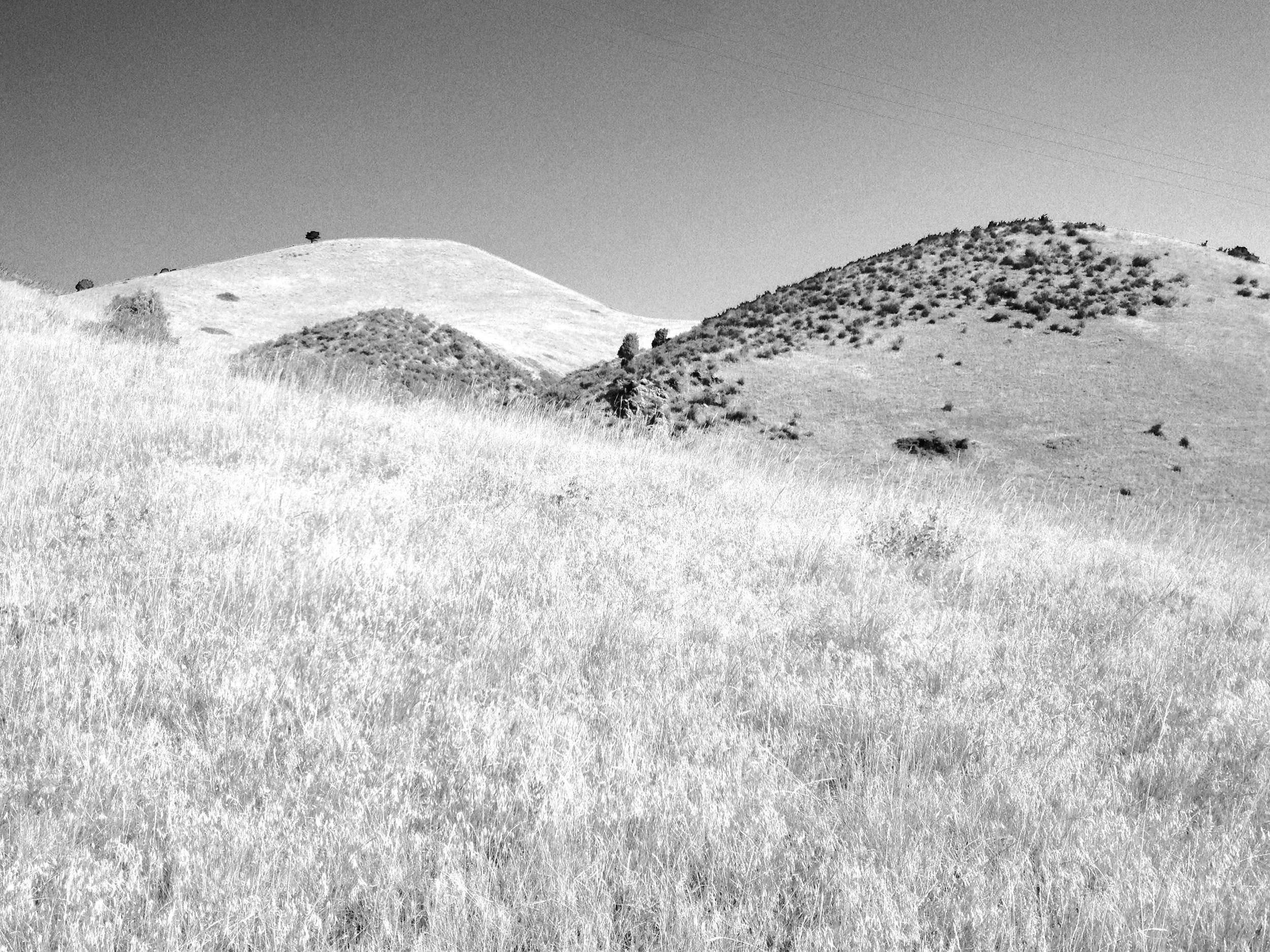 Views above Red Rocks Trail