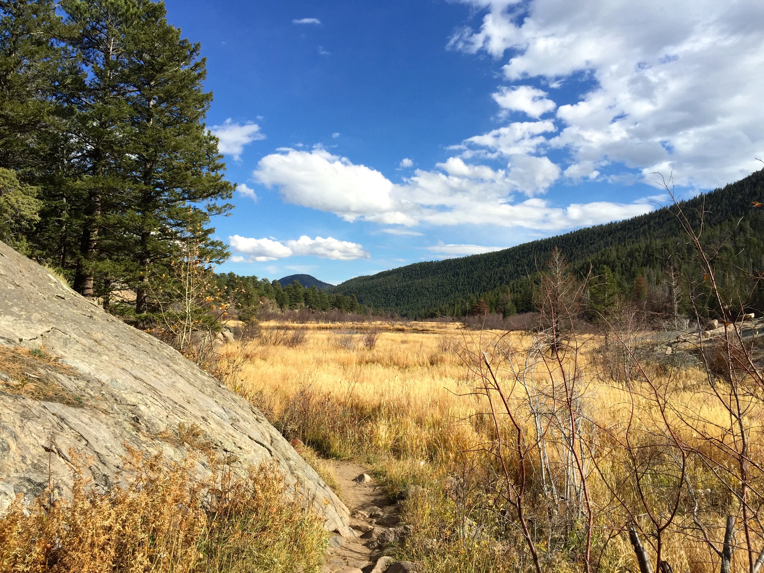 Looking back to Moraine Park from the Cub Lake Trail