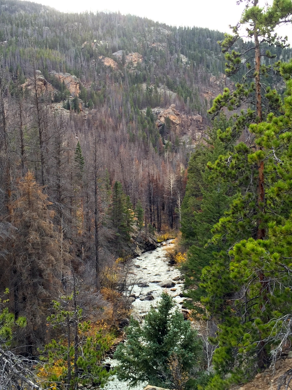 Looking up the Big Thompson