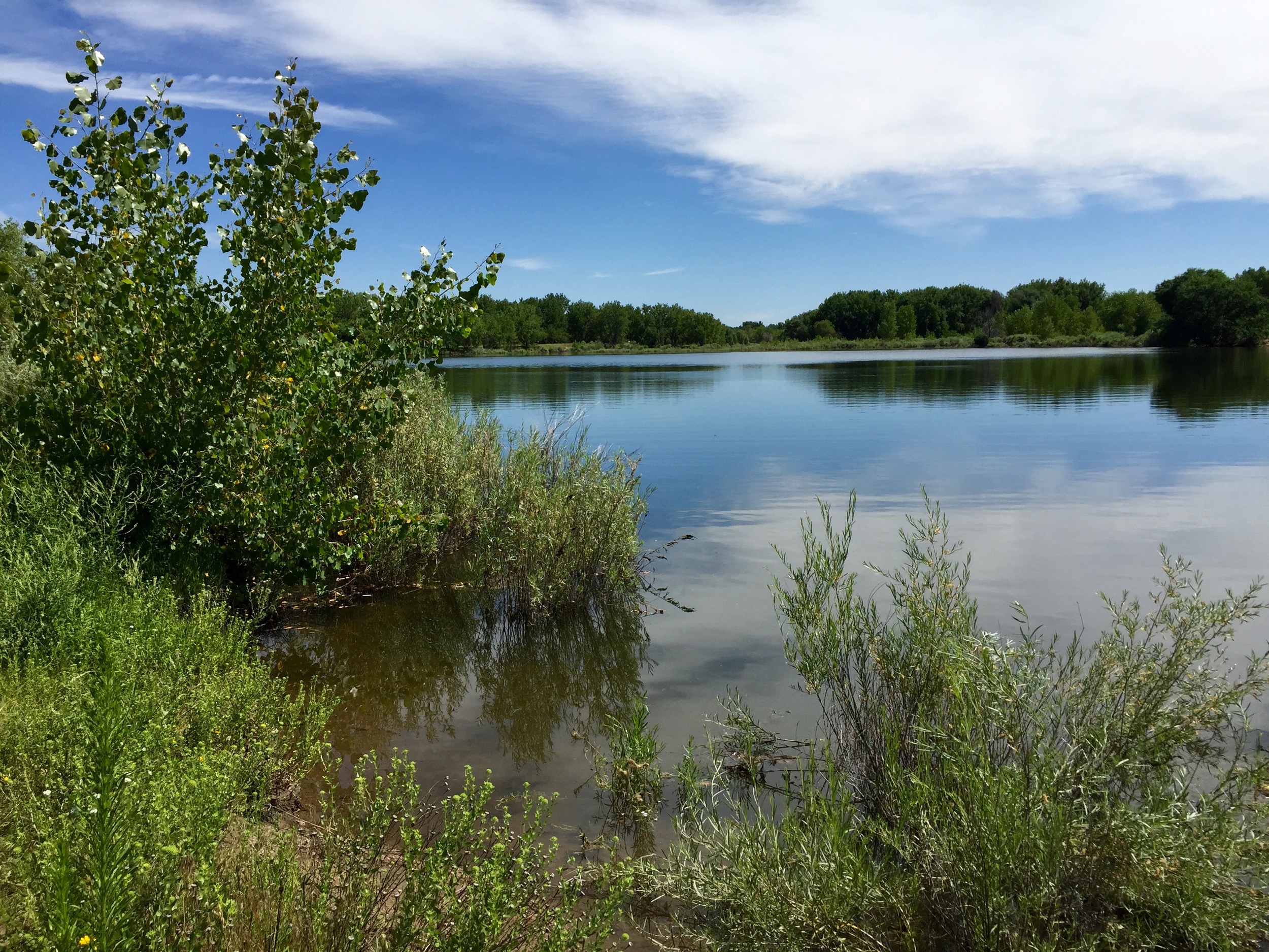  The tranquil shores of Redtail Lake 