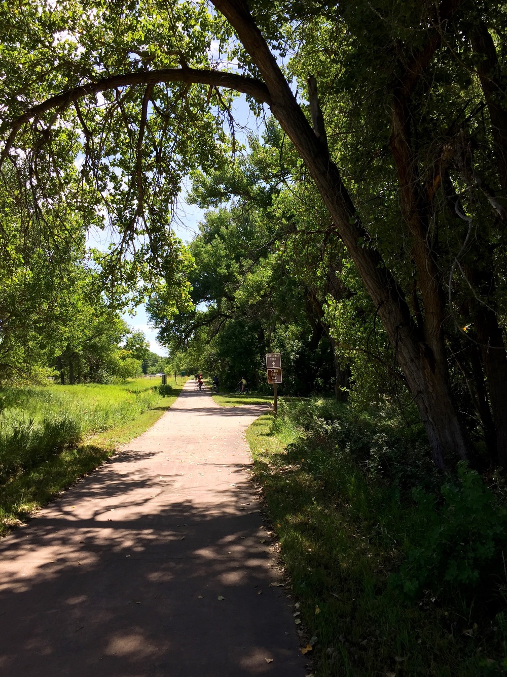  The trail picks up some shade as it switches from the C-470 Trail to the Mary Carter Greenway 