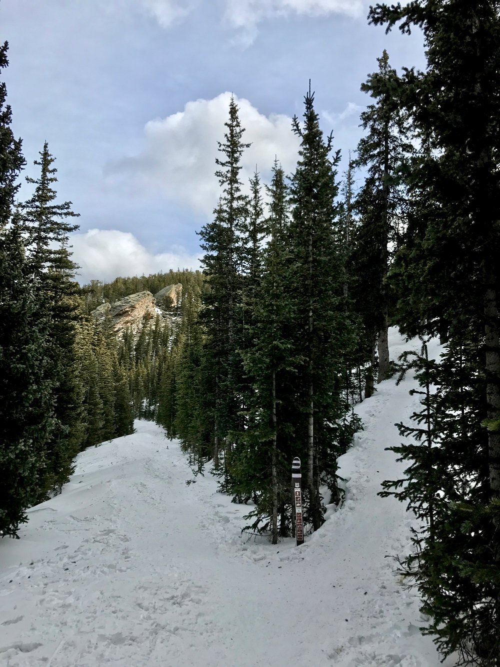  Looking East along the Old Squaw Pass Road junction. The trail continues up to the right. 