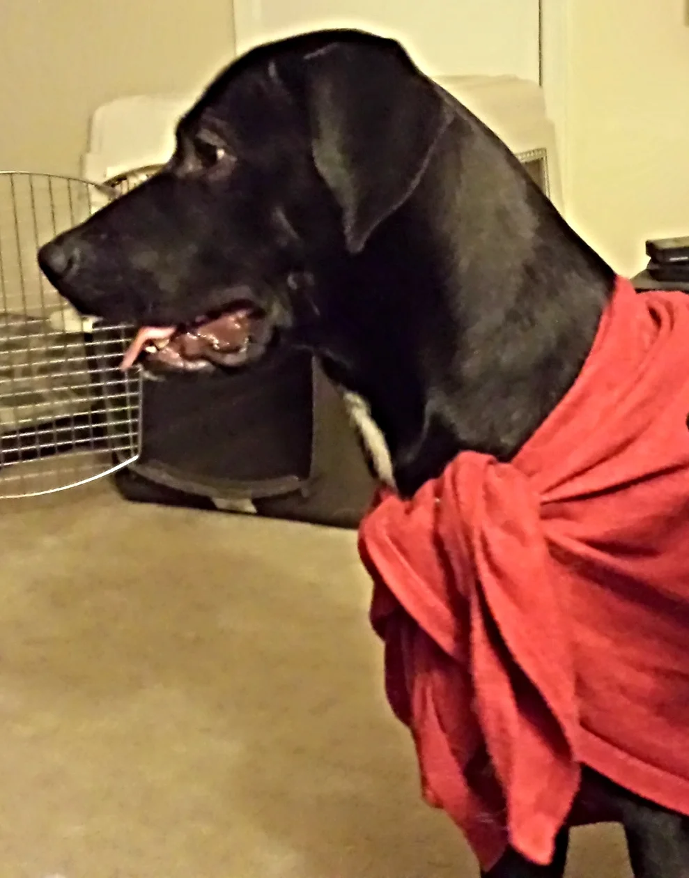 "Duke" Barden- Destin, FL
