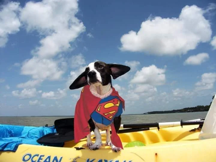 "Phoebe"Monge-Mack Bayou, Fl.