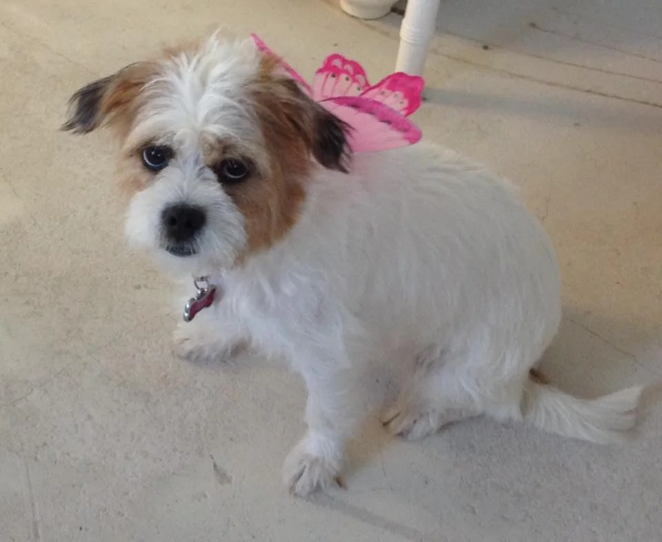 "Stella" Graham-Santa Rosa Beach, Fl.