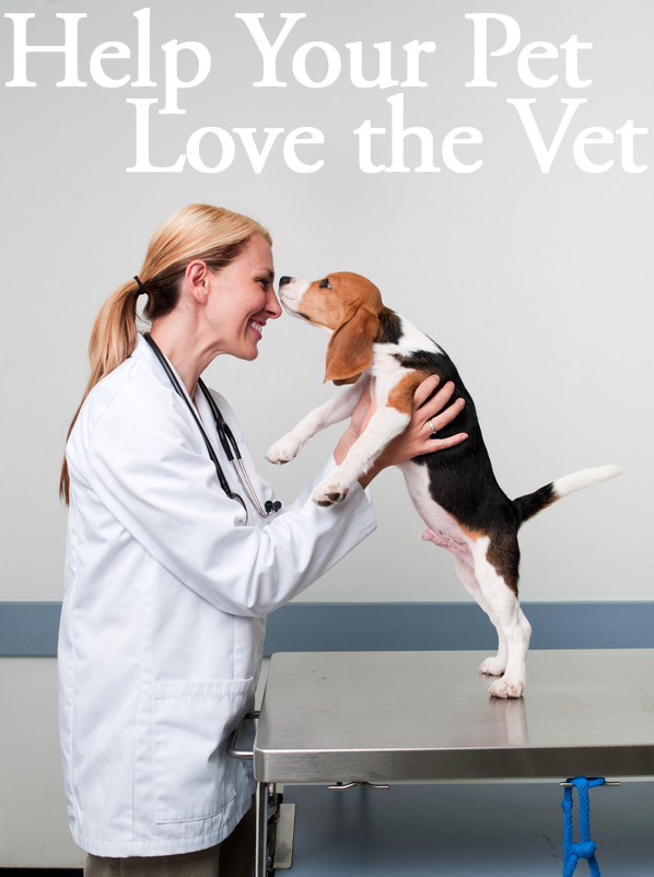 Pet Vet Love