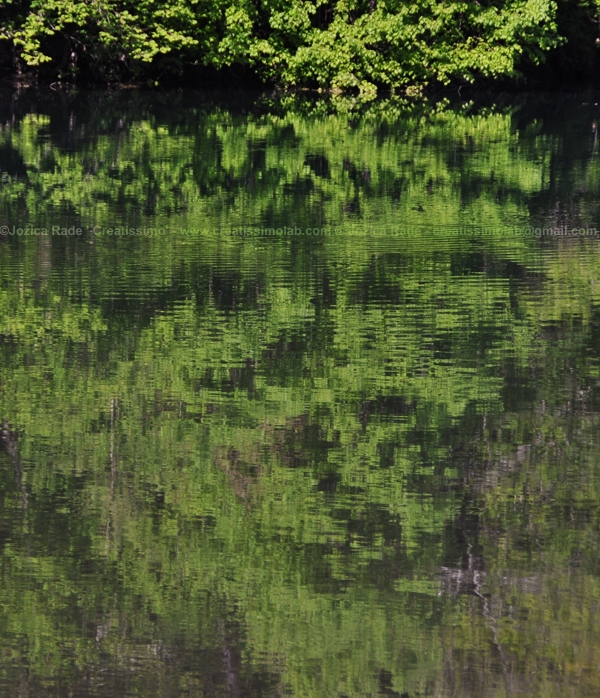 Transient