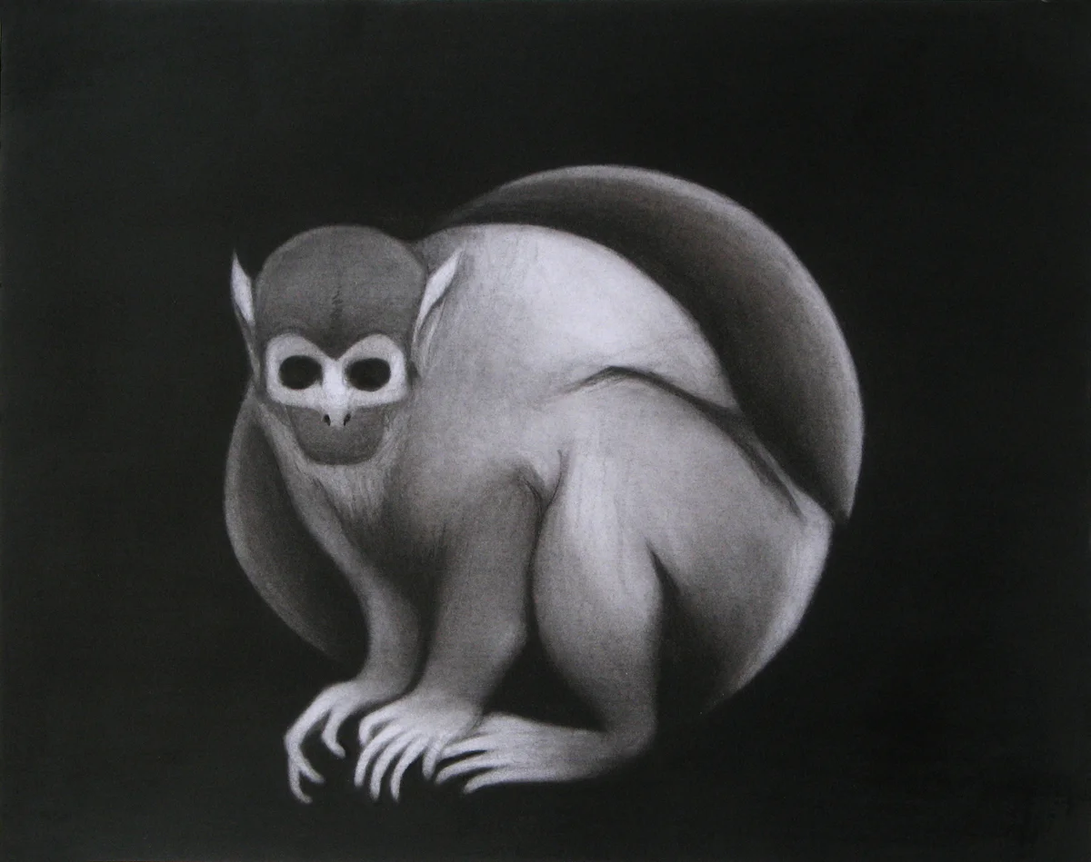 Ape