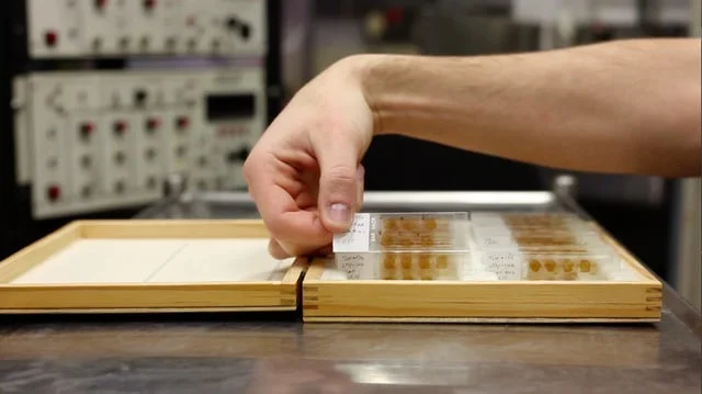 We Kknow Where Our Arms Are Even When We Don't Look At Them (film, 23:15 min.)