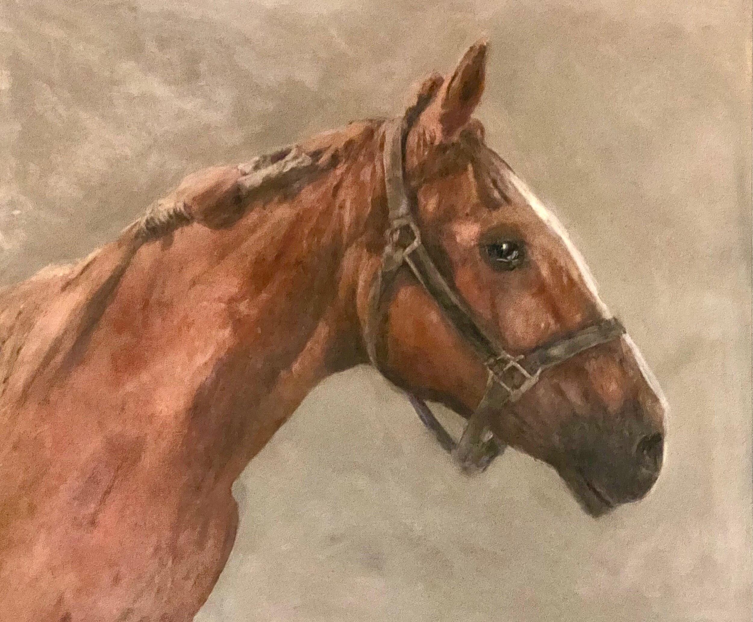 11C1F83F-3665-4F9F-B24D-321C4F694A67