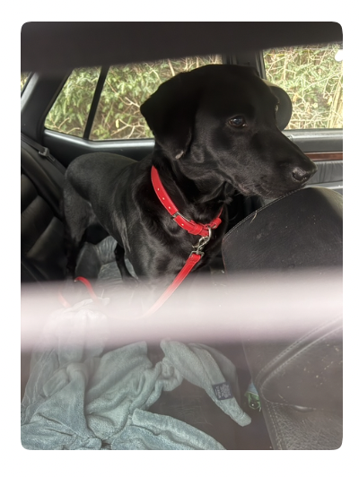 Screenshot 2026-01-03 at 14.26.49.png