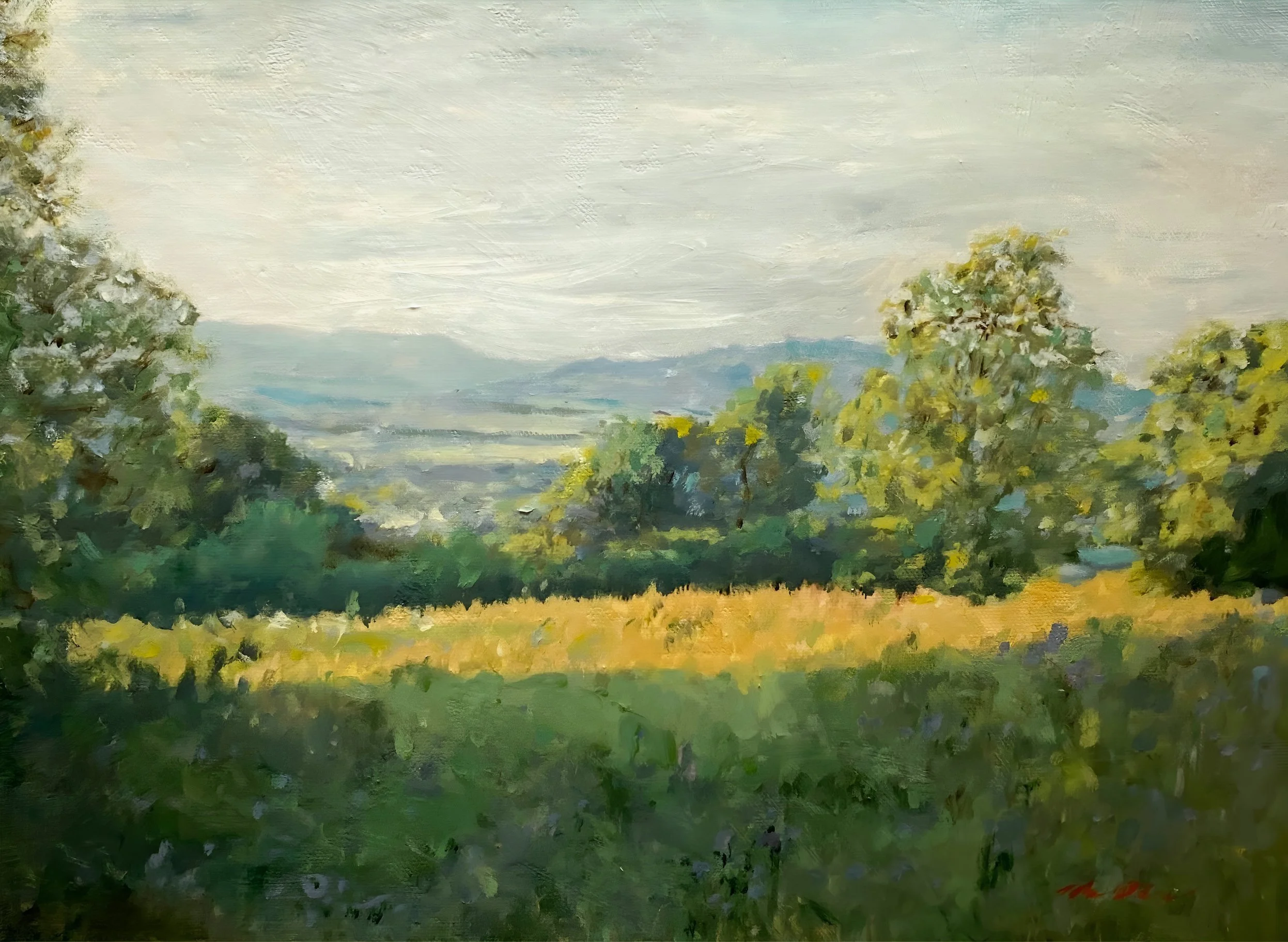 Rectory+Fields.jpg