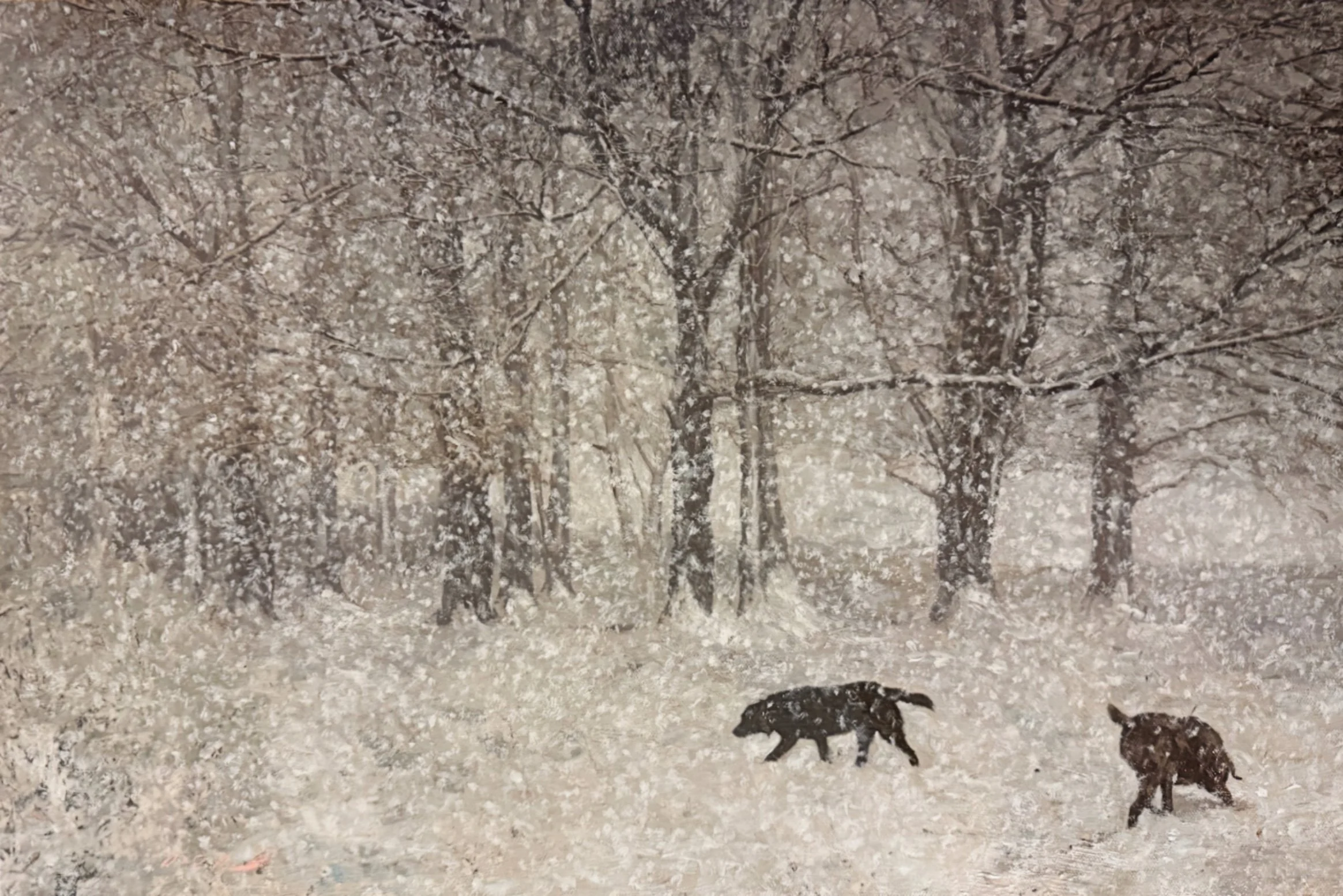 'A Winter Walk...'.jpg