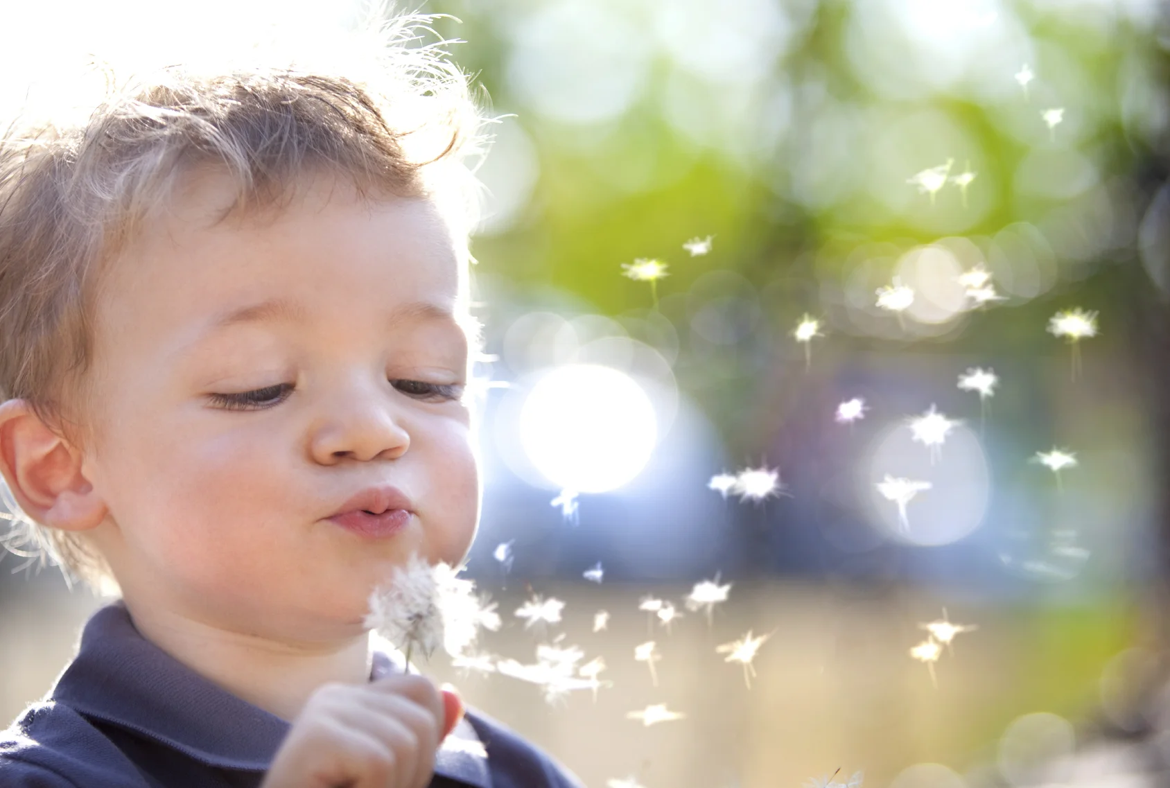 boy blowing dandelion.jpg