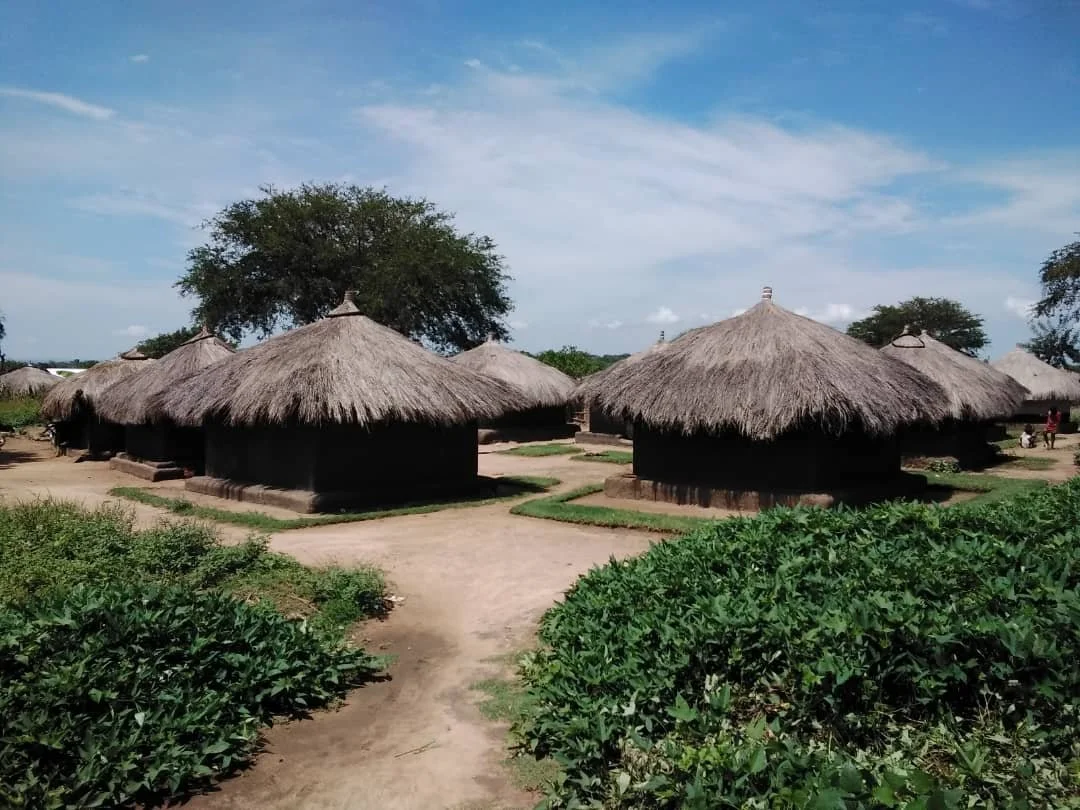 A homestead on the Bidibidi settlement .jpeg