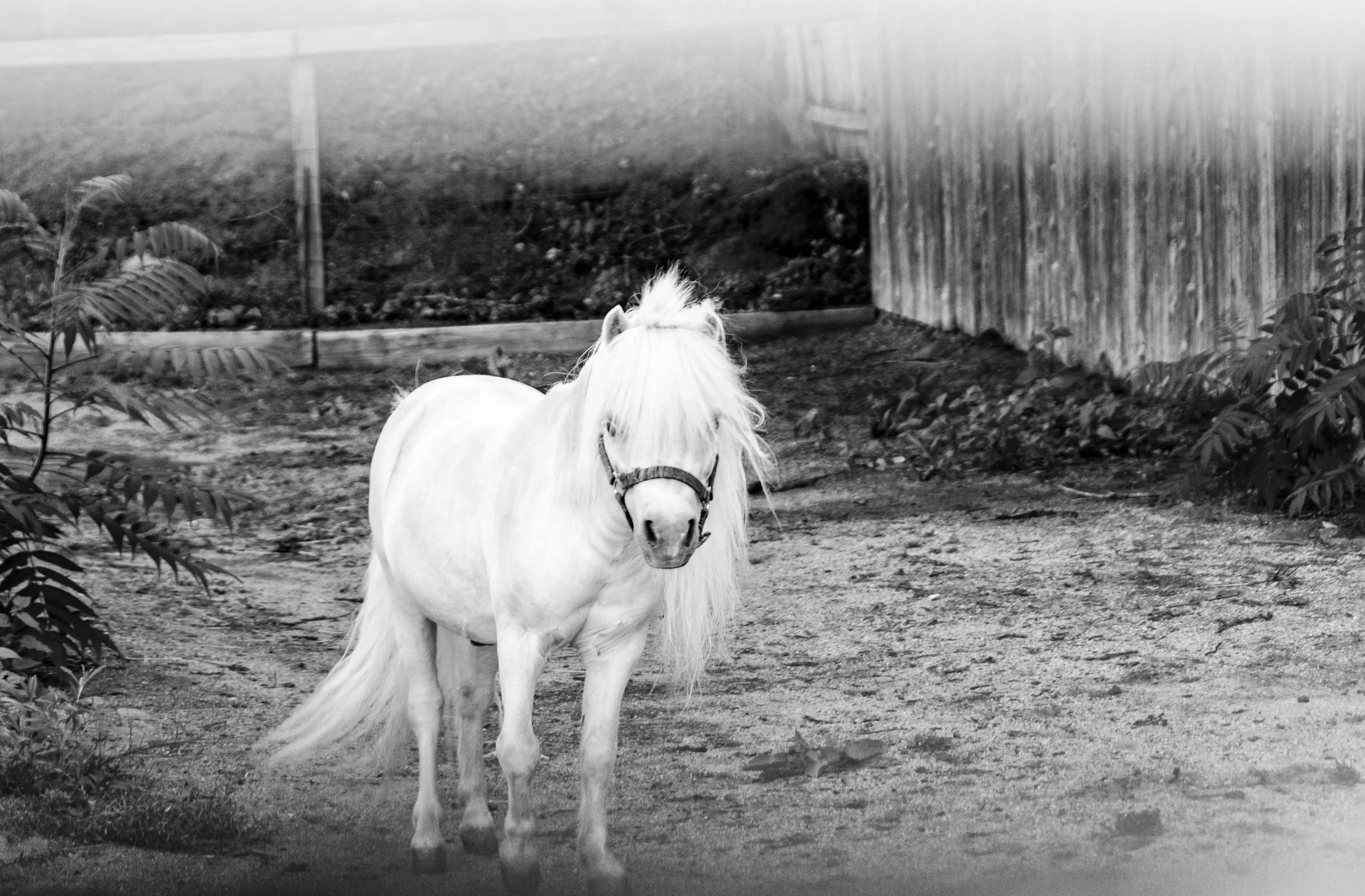 In the Maine, it was nice