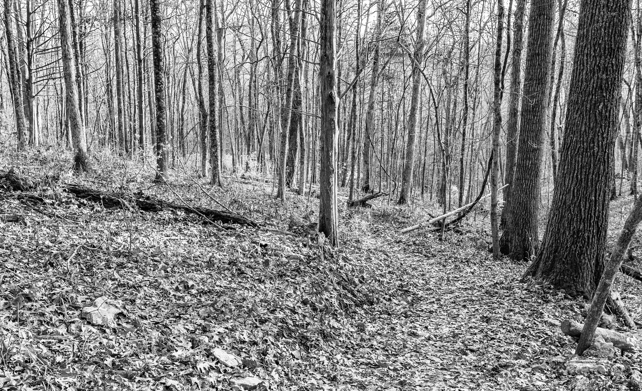 Getting ready for Turkey