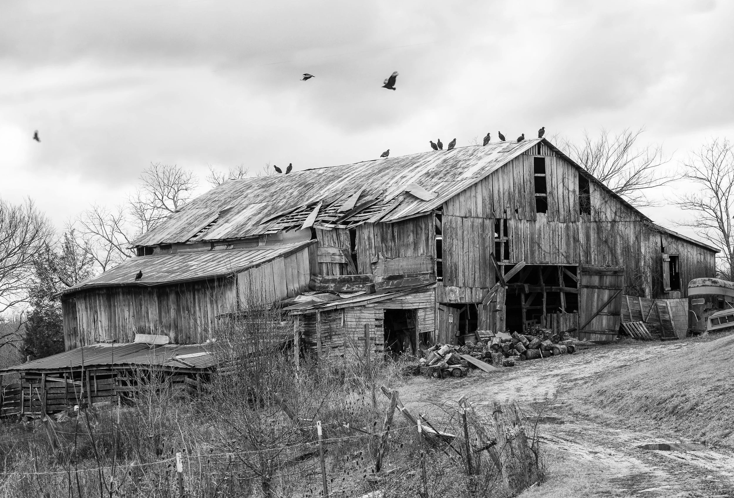 Vulture Barn