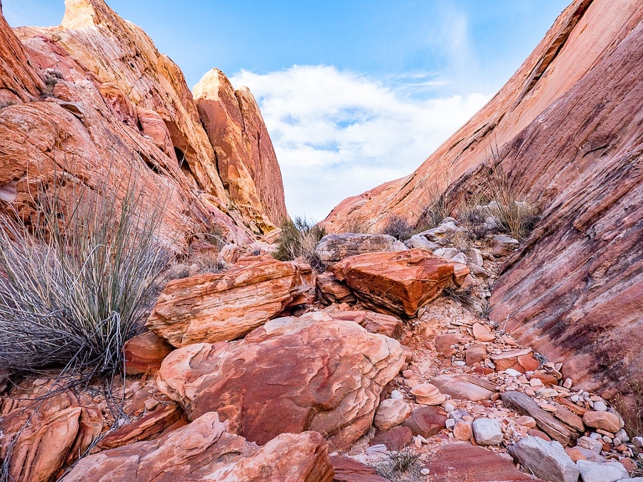 Valley of Fire 15