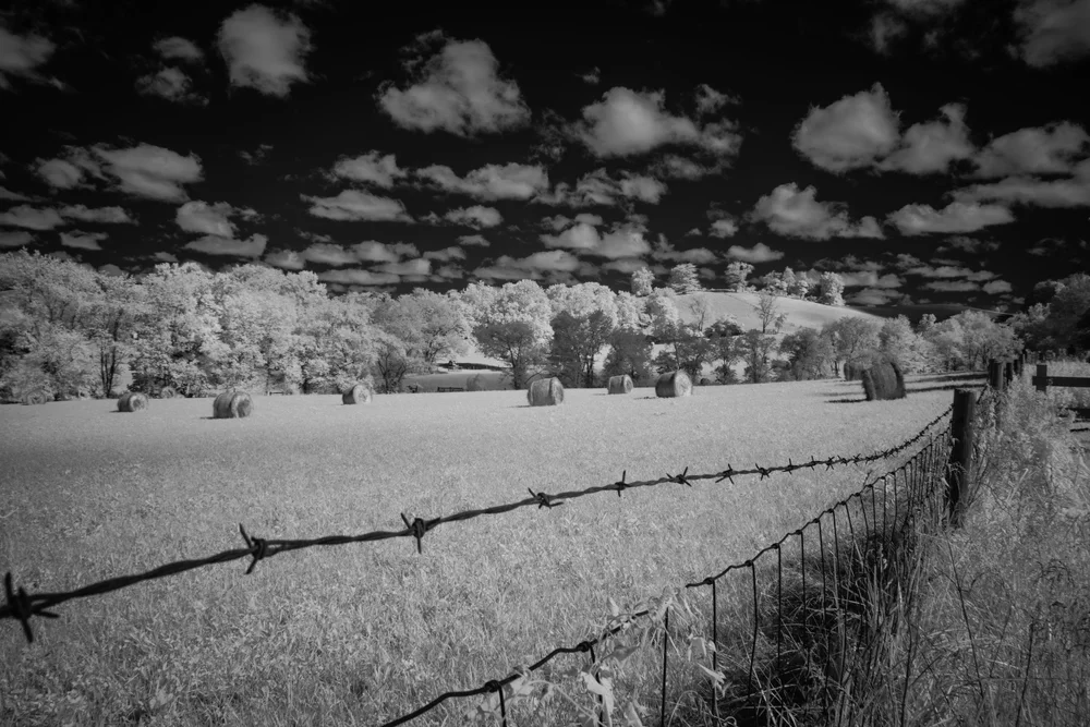 Ohio-IR-20240701-018-Enhanced-NR.jpg