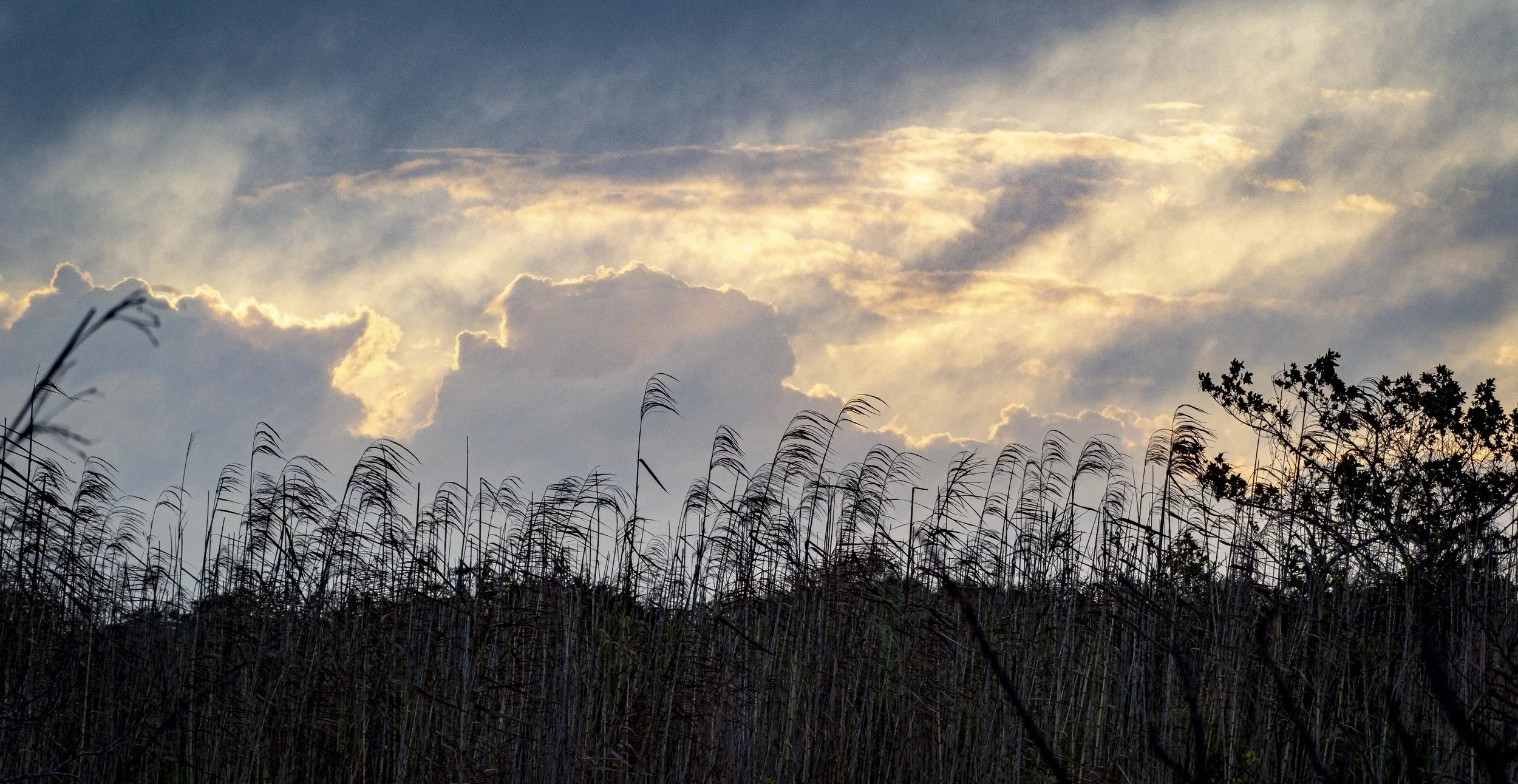 Everglades National Park
