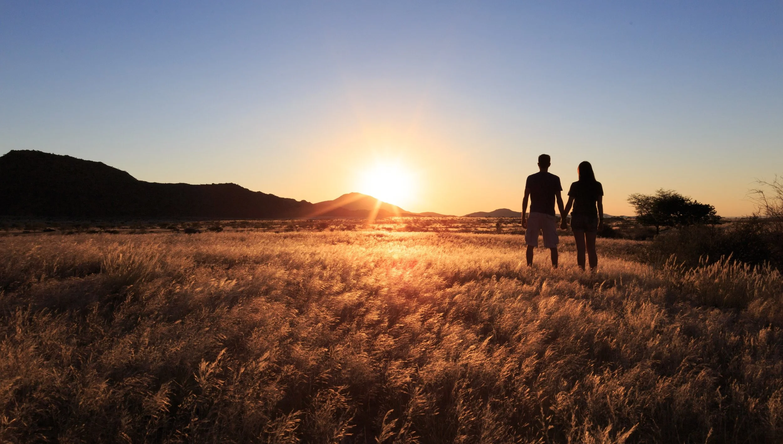 Couple Holding Hands with Setting Sun 2.0.jpeg