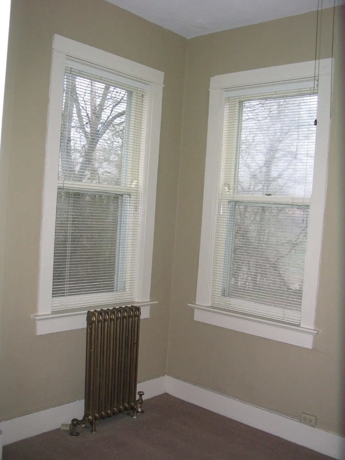 Picture 023.jpg
