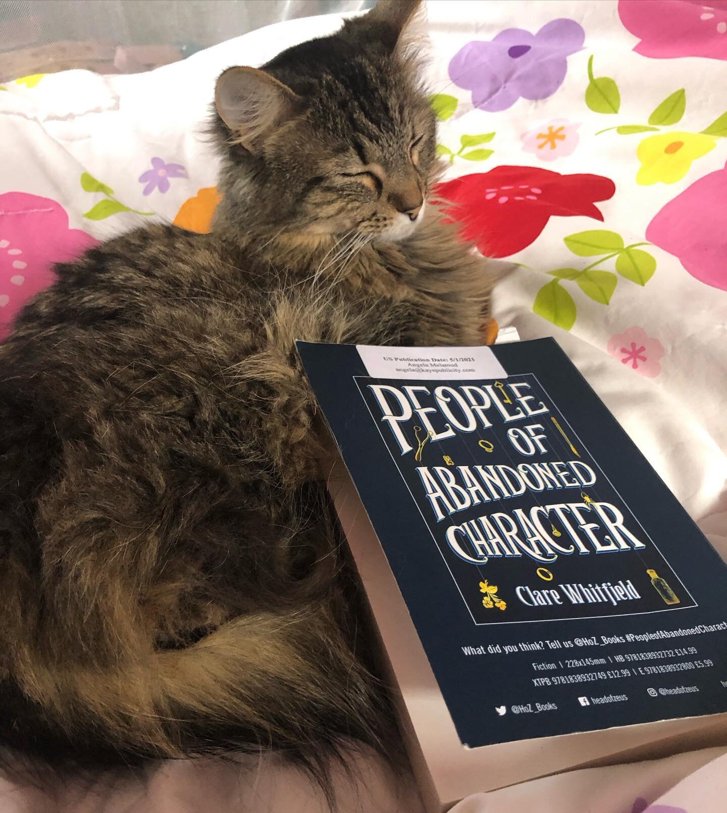 Just finished up an interview and now I&rsquo;m finishing up a book with my cat Bernie. Everything is so much better with cats, isn&rsquo;t it? 😸📚
.
.
.
#peopleofabandonedcharacter #interview #reading #historicalfiction #cat #catsofinstagram #books