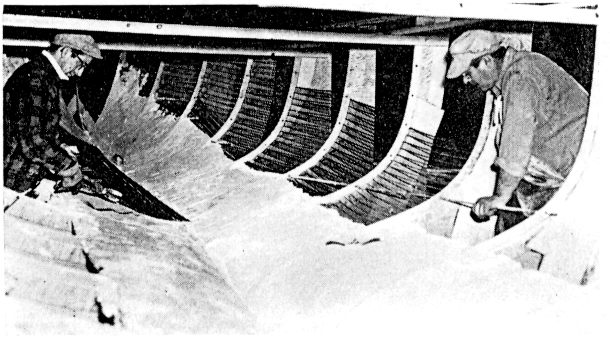 Image2.gif