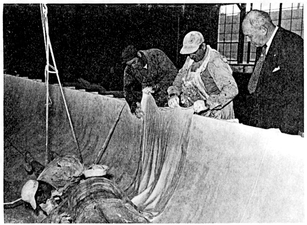 Image3.gif