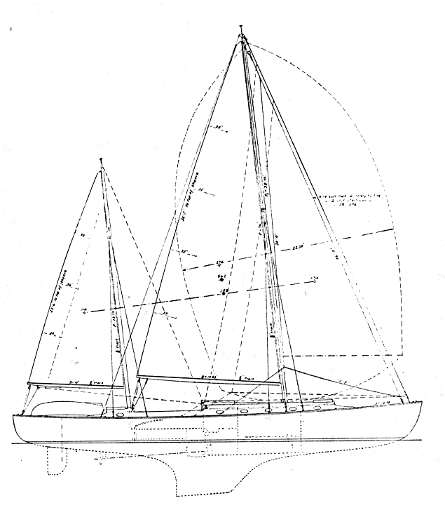 Image9.gif