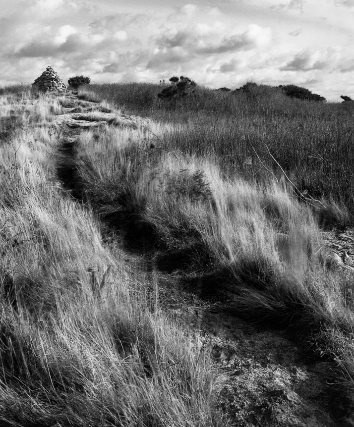 Island Path