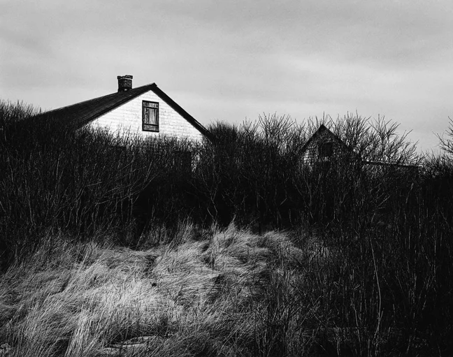 House & Shed #2