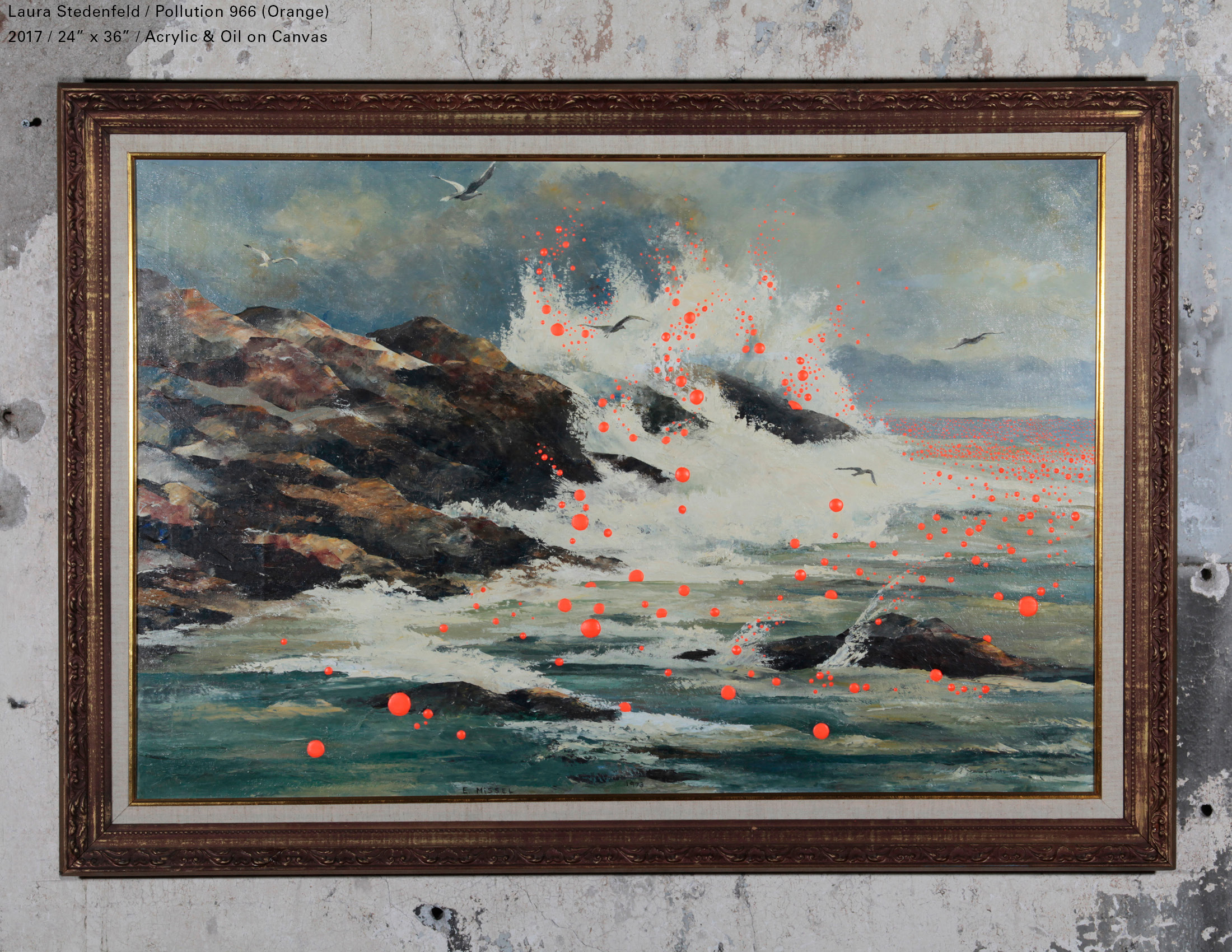 STEDS-RANSOM2 - Laura Stedenfeld.jpg