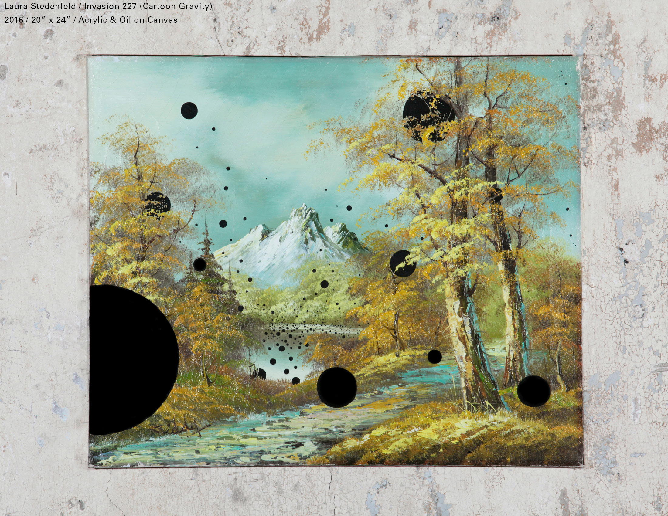 STEDS-RANSOM3 - Laura Stedenfeld.jpg