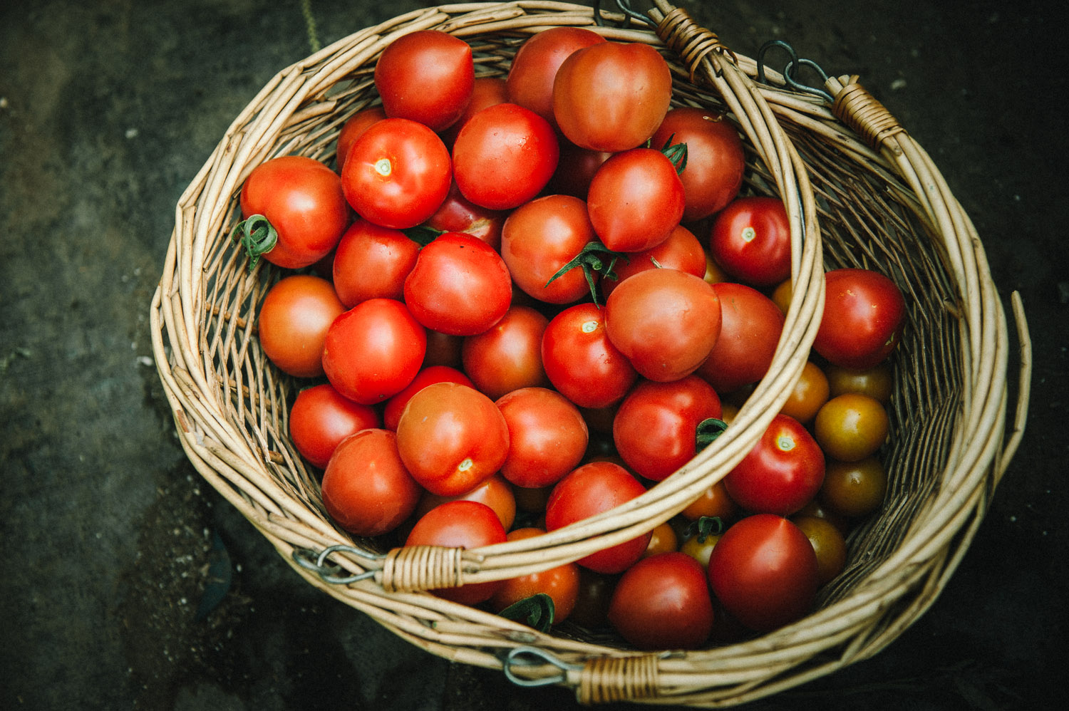 food_tomato