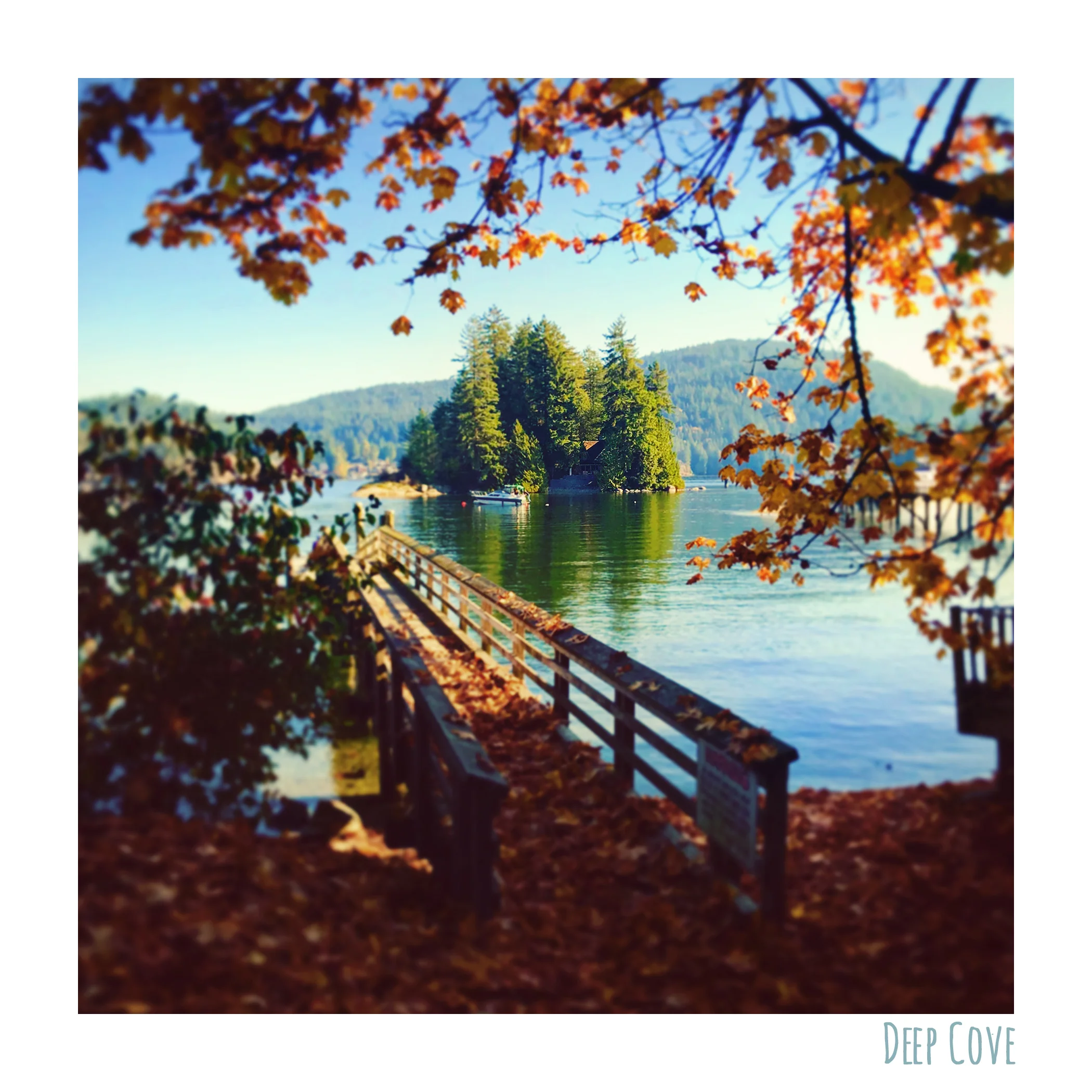 DEEP COVE