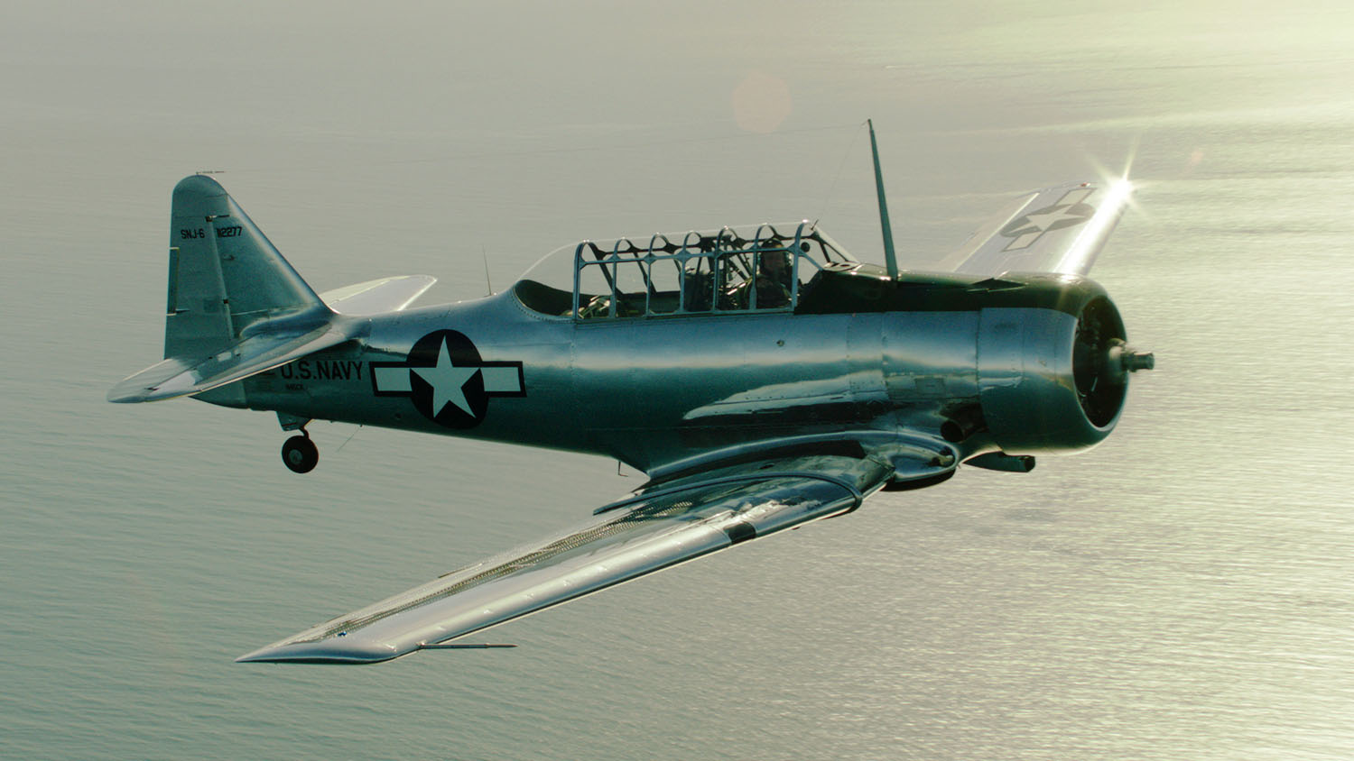 Image from "Freedom"