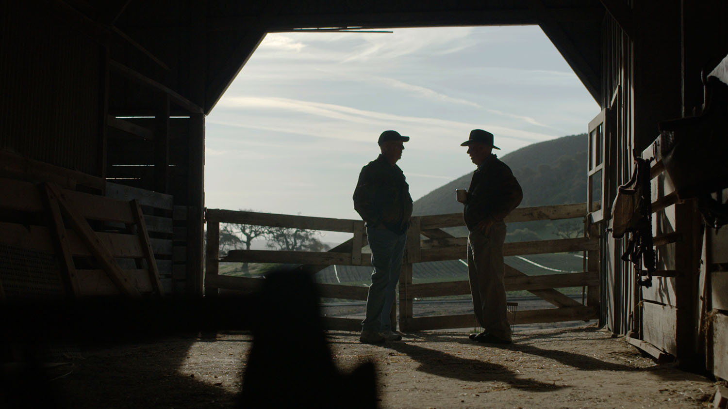 Image from "Friendship"