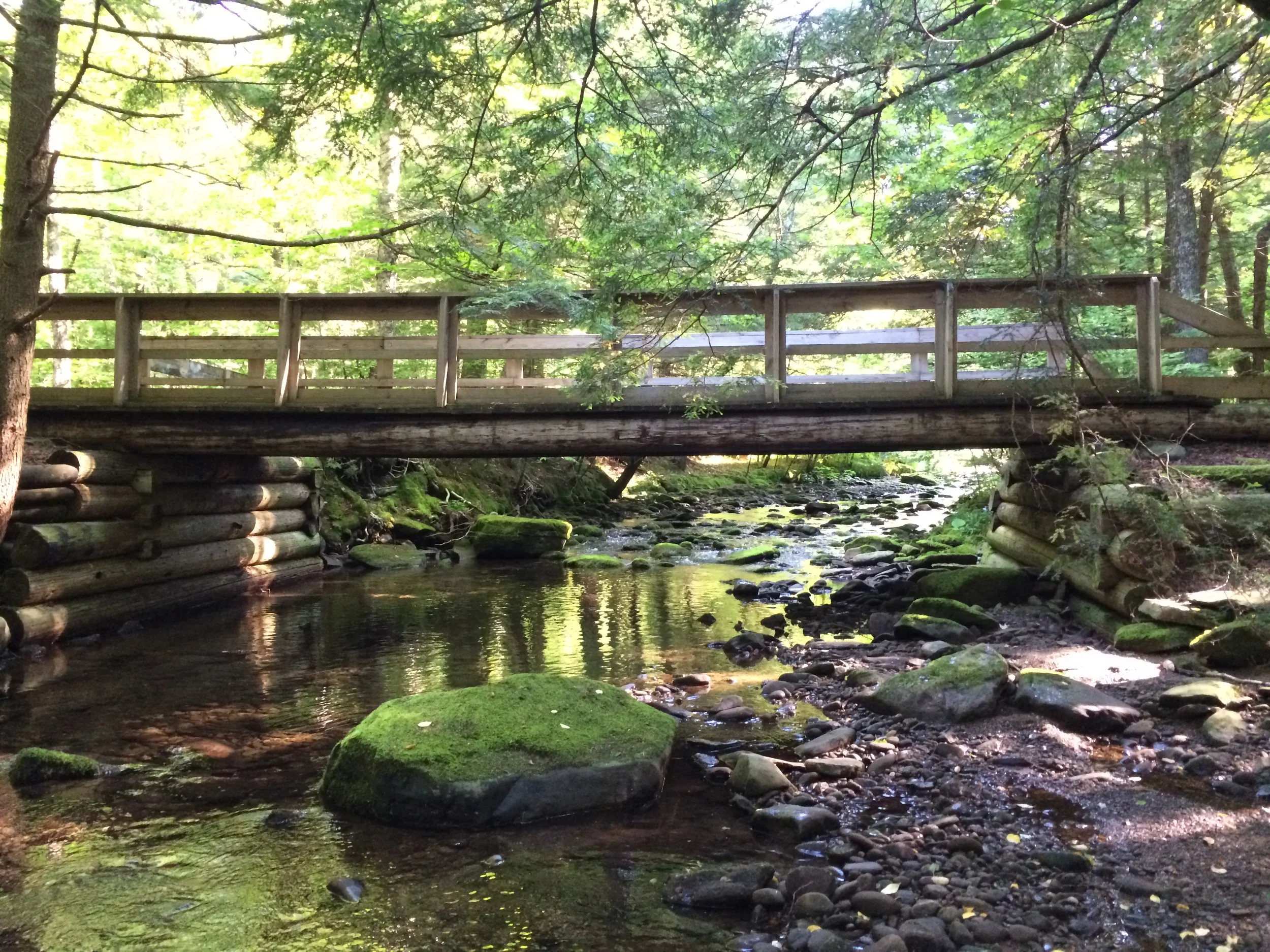 Willowemoc creek