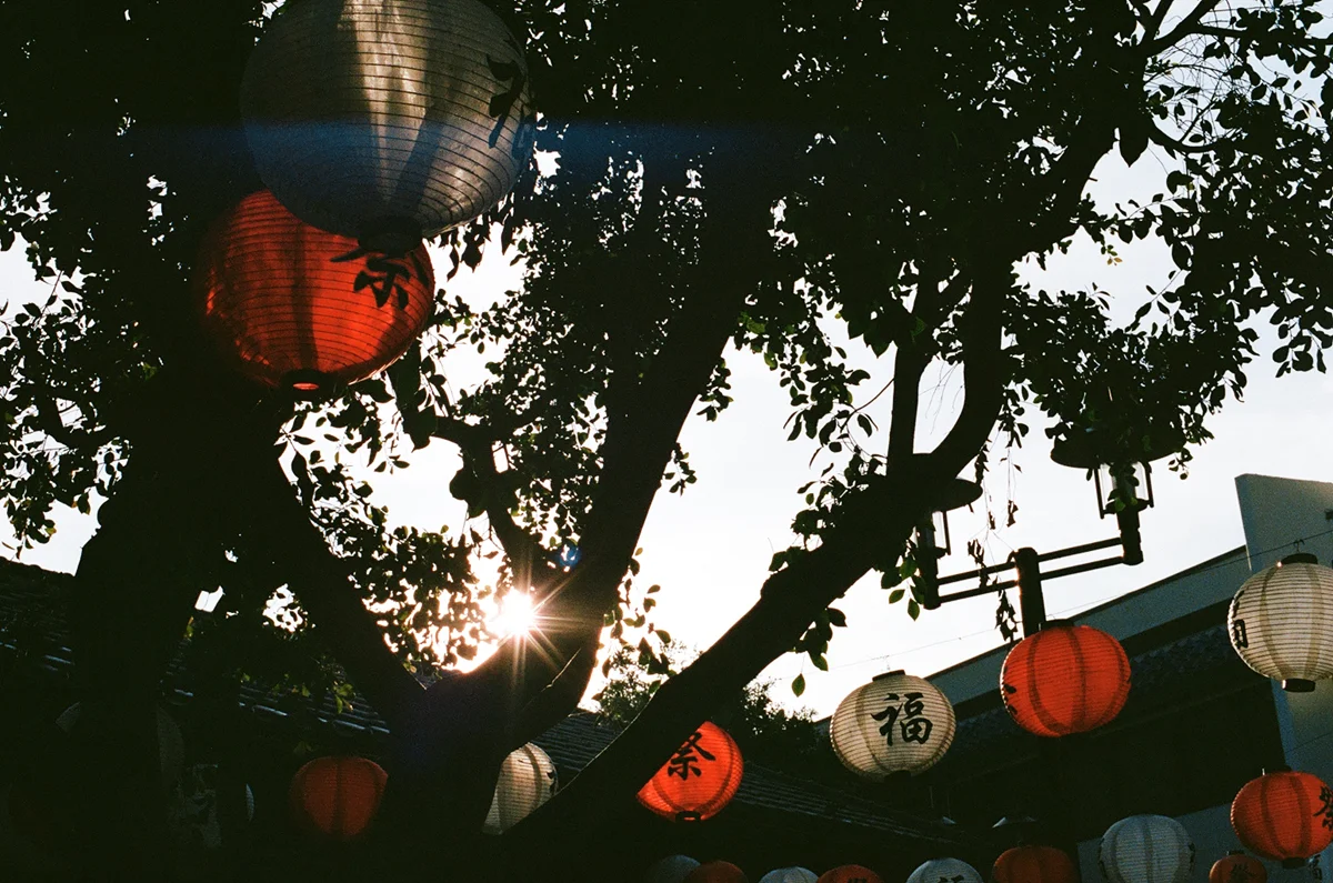 LA06.jpg