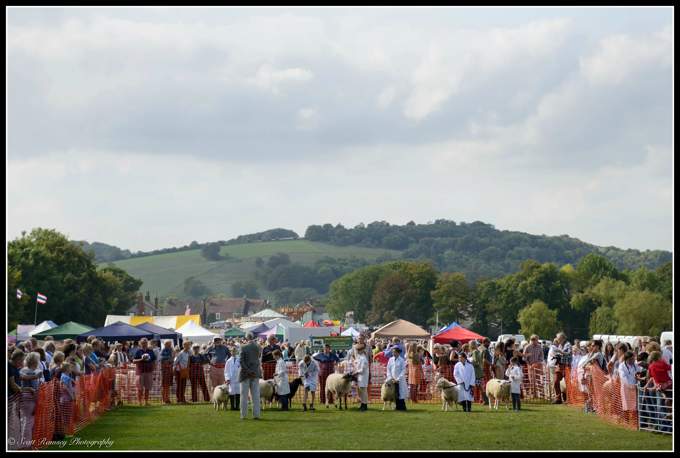 Findon Sheep Fair and Village Festival. The beautiful South Downs can be seen in the background of the photograph as competitors try to control their sheep whilst being judged in the main arena at the show.