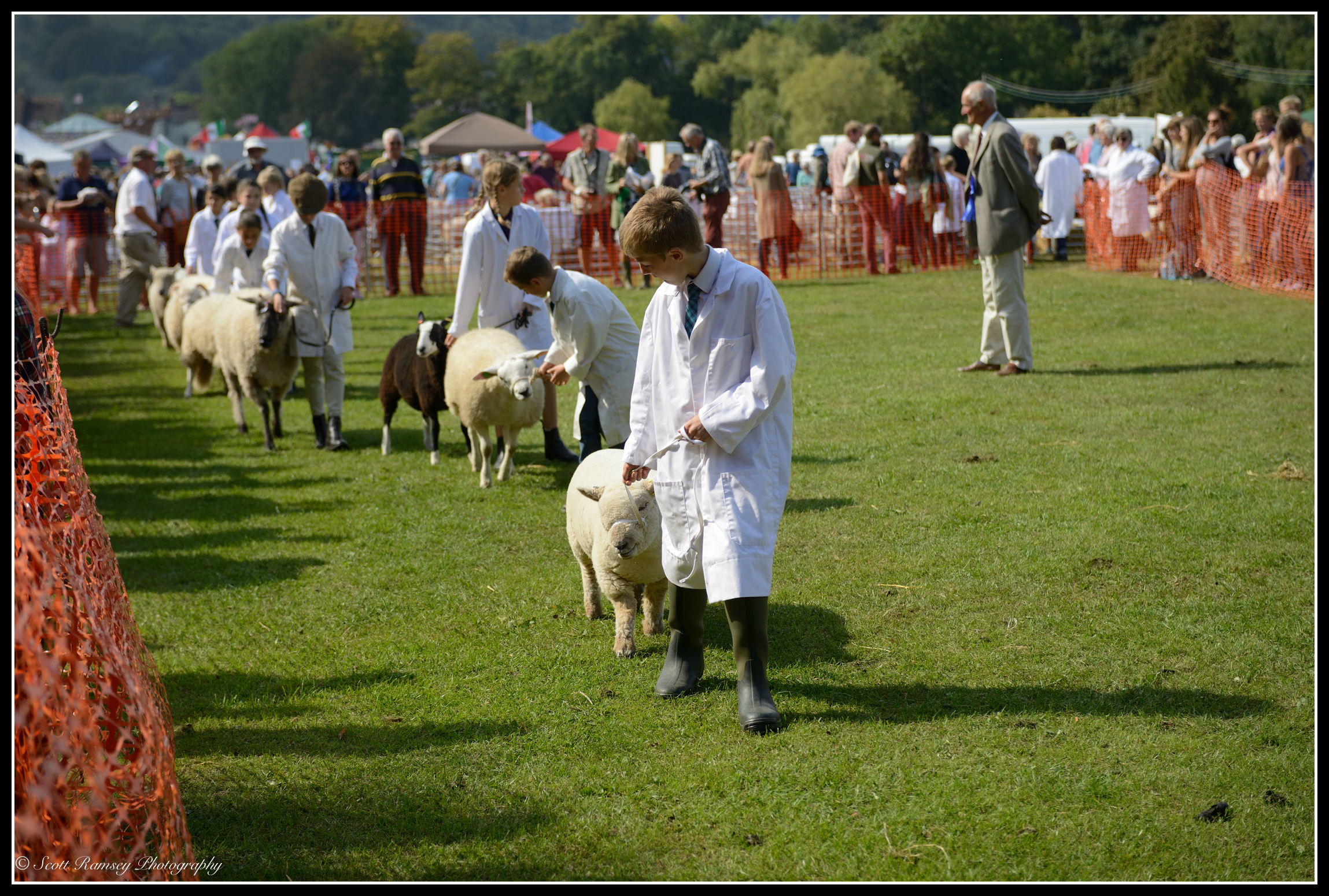 A judge inspects the sheep as they are walked around the main arena during a competition at the Findon Sheep Fair.