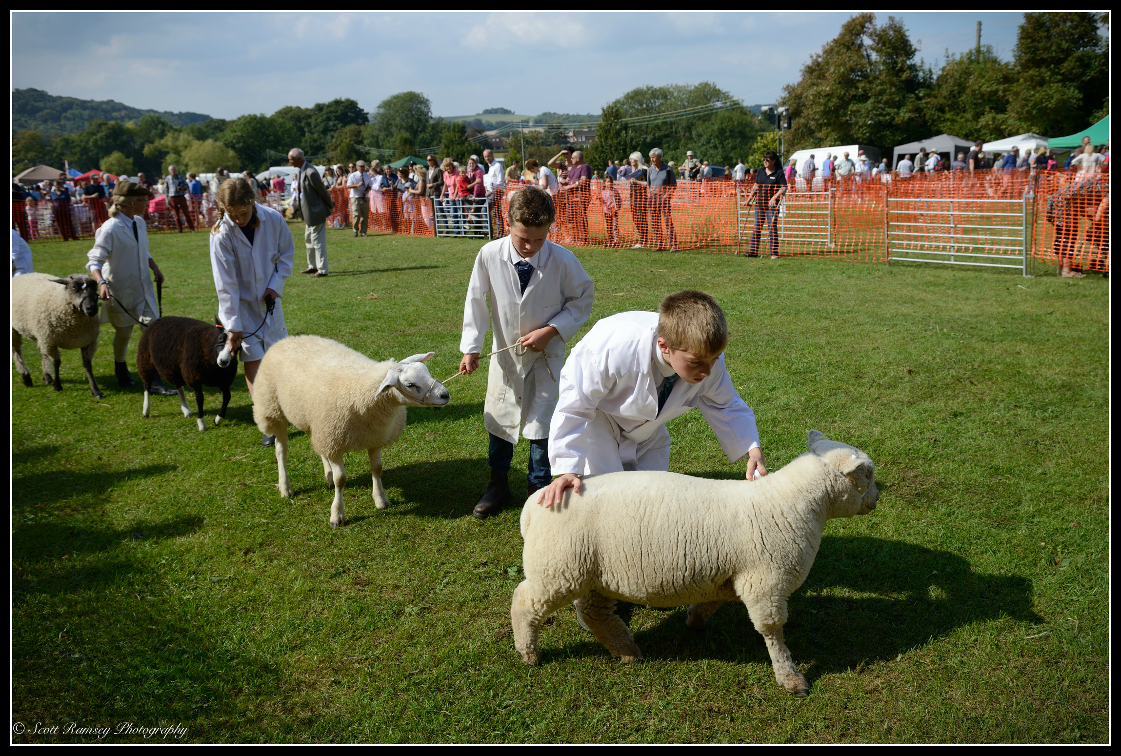 A sheep needs some encouragement to keep moving as children parade sheep around the main arena at the Findon Sheep Fair in West Sussex.