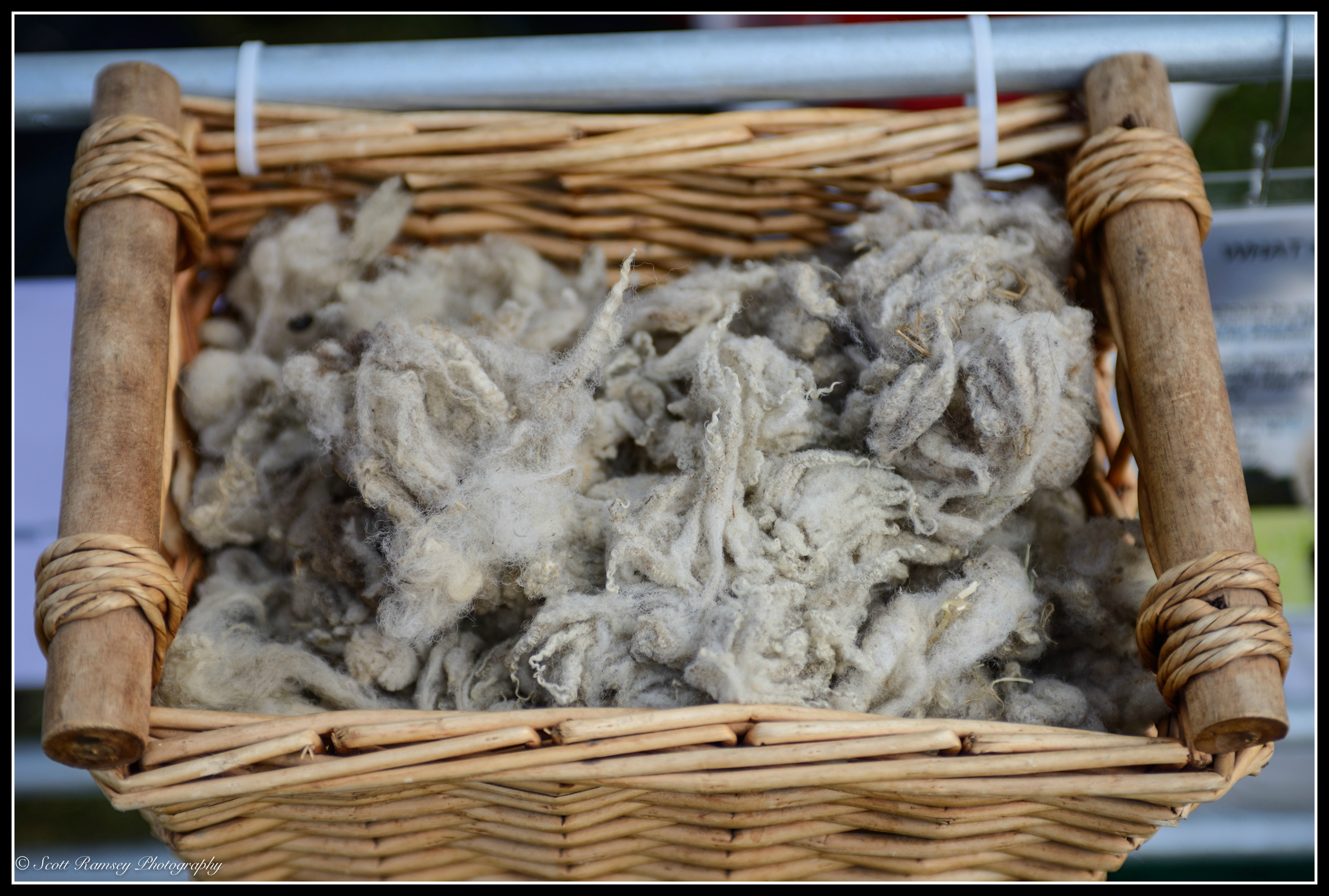 A basket containing sheeps fleece at the Findon Sheep Fair in West Sussex.