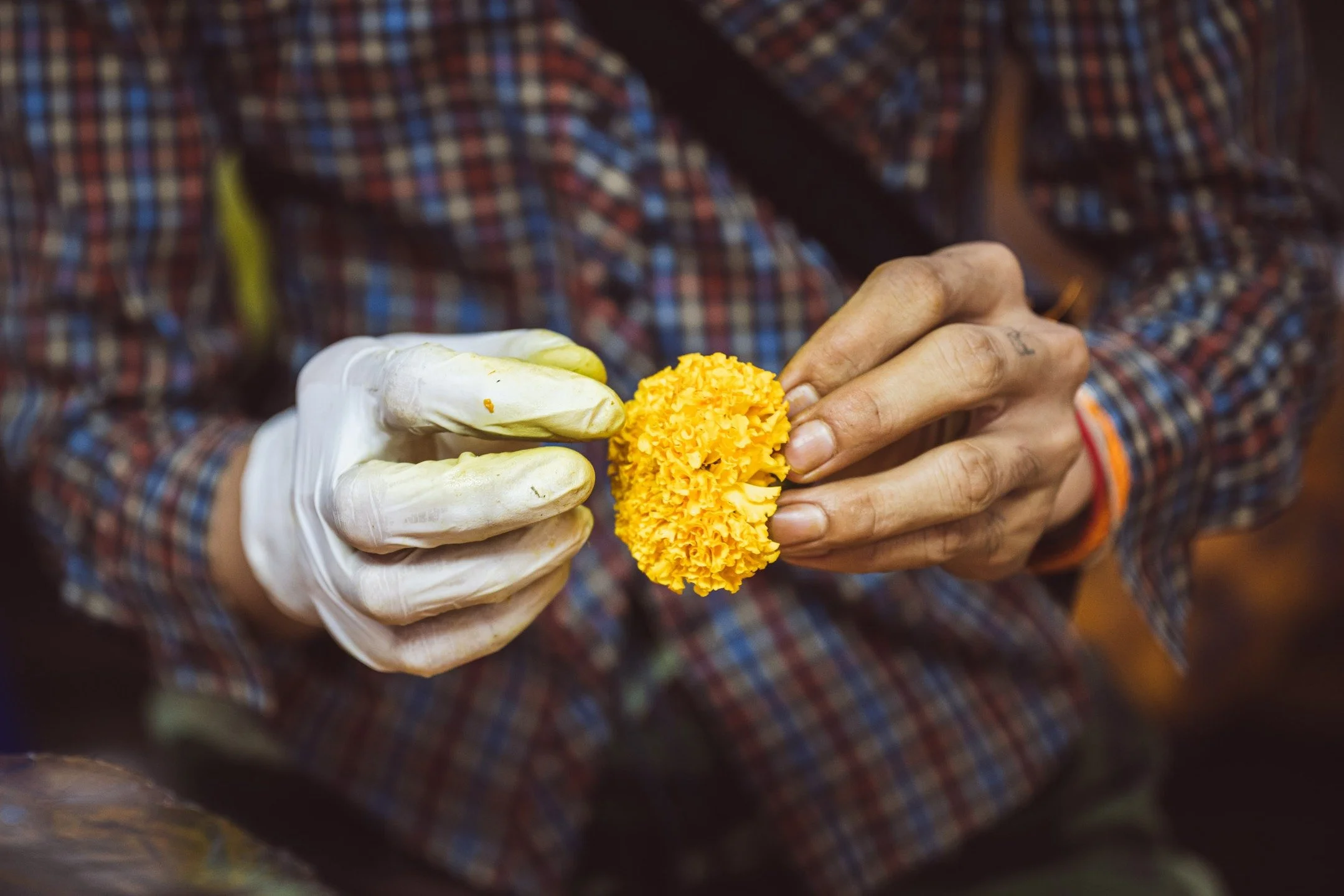 The connections we have as human beings shape our identity. Over 30 years ago, when I first picked up a camera and began documenting the world alongside my fellow photographers, we not only transported viewers to places they couldn't visit but also c