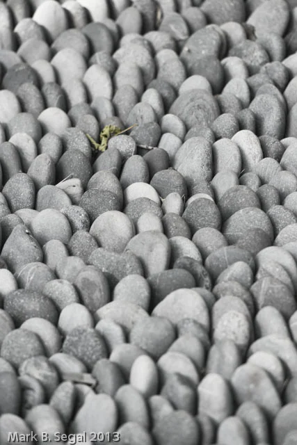 Gray stones all alike but each unique