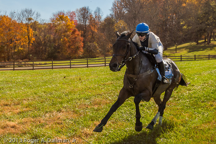 I used a very fast shutter speed to freeze the galloping horse and the flying dirt and grass at the Montpelier Hunt Races. 