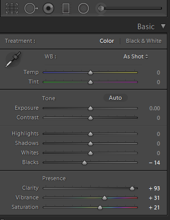 Basic Panel adjustments